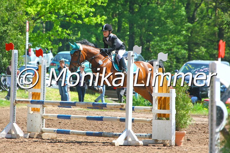 104M8358_Dargolan_SpringWB E_e.JPG